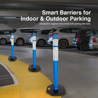 parking delineator